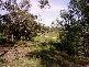 LOT 104,98,89 SHARK CREEK ROAD, Shark Creek NSW 2463