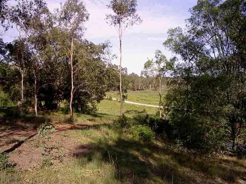 LOT 104,98,89 SHARK CREEK ROAD, Shark Creek NSW 2463