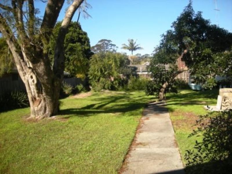 6 Tor Road, Dee Why NSW 2099