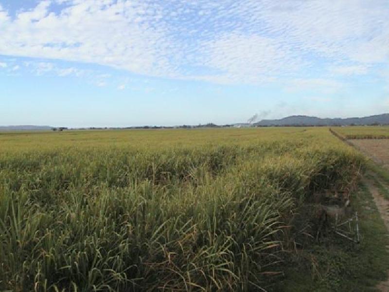 Murwillumbah NSW 2484