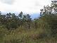 Tyalgum NSW 2484