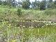 Tyalgum NSW 2484