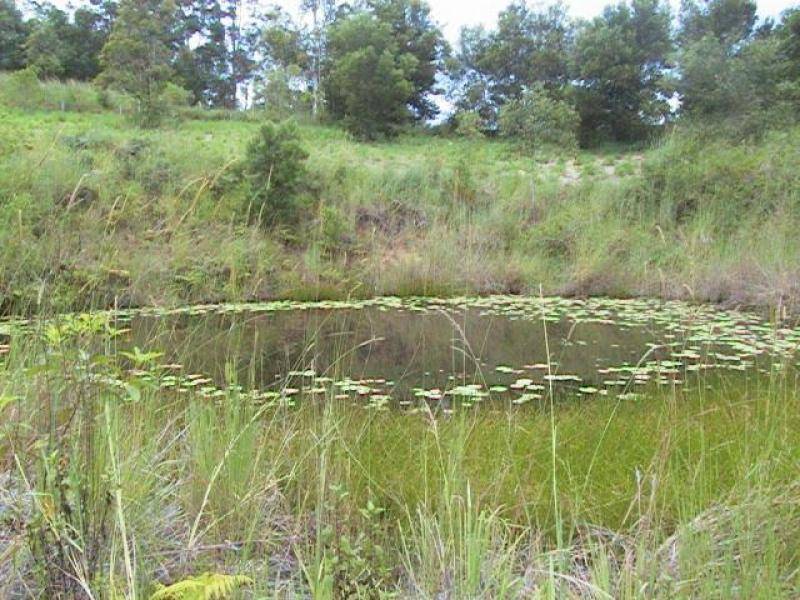 Tyalgum NSW 2484