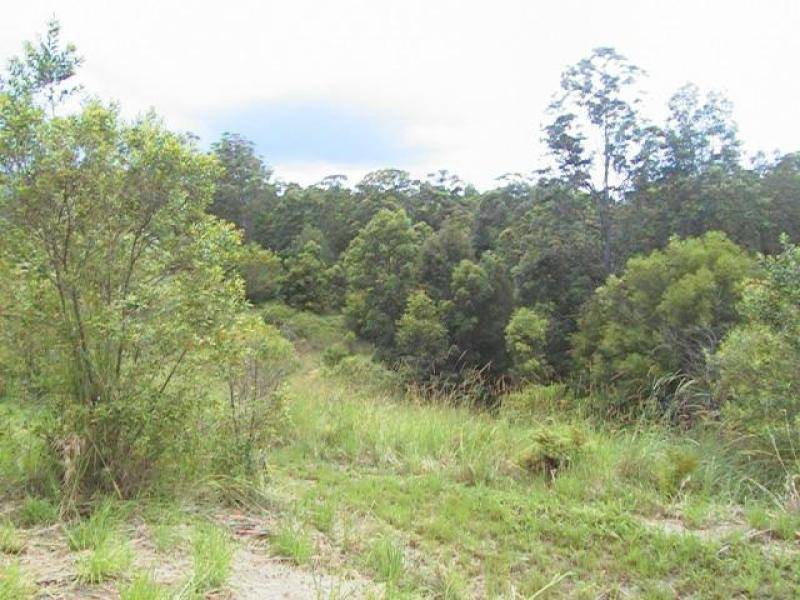 Tyalgum NSW 2484