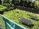 Murwillumbah NSW 2484