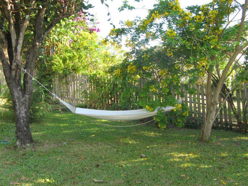 Murwillumbah NSW 2484