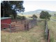 Dunbible NSW 2484