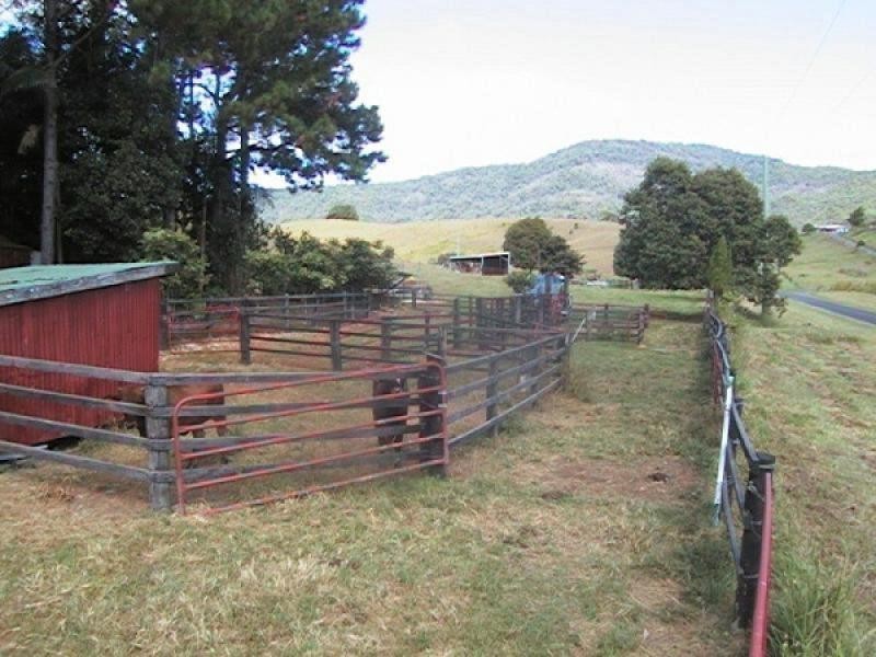 Dunbible NSW 2484