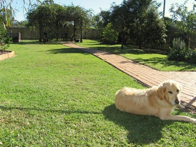 86 TUMBULGUM ROAD, Murwillumbah NSW 2484