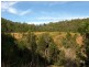 Dunbible NSW 2484