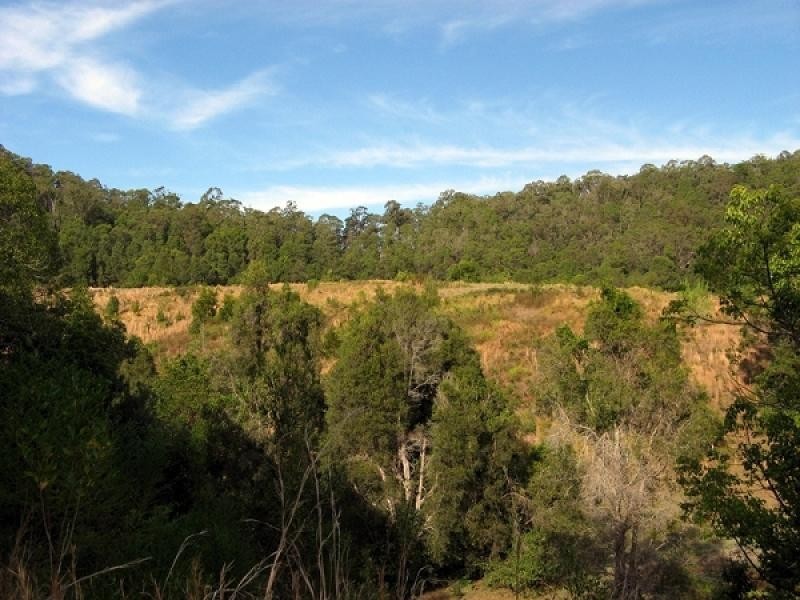 Dunbible NSW 2484