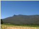 Pumpenbil NSW 2484