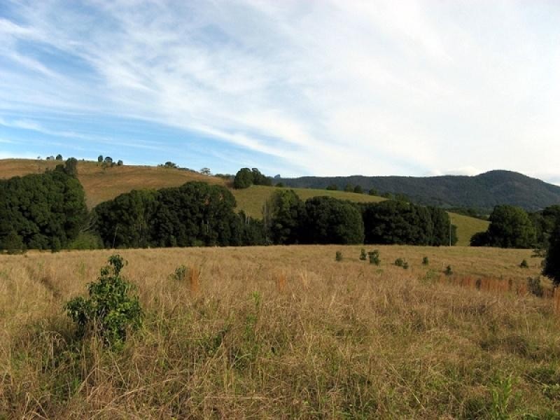 Dunbible NSW 2484