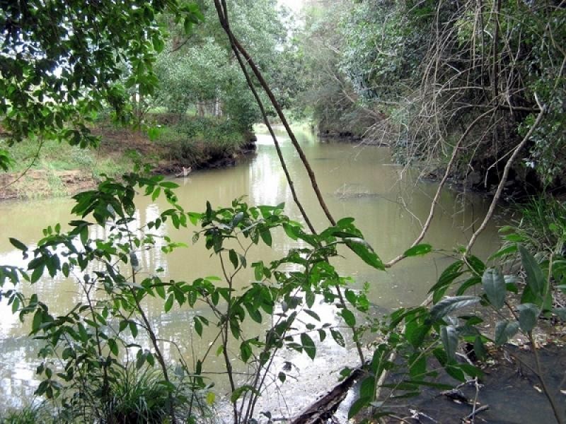 Dunbible NSW 2484