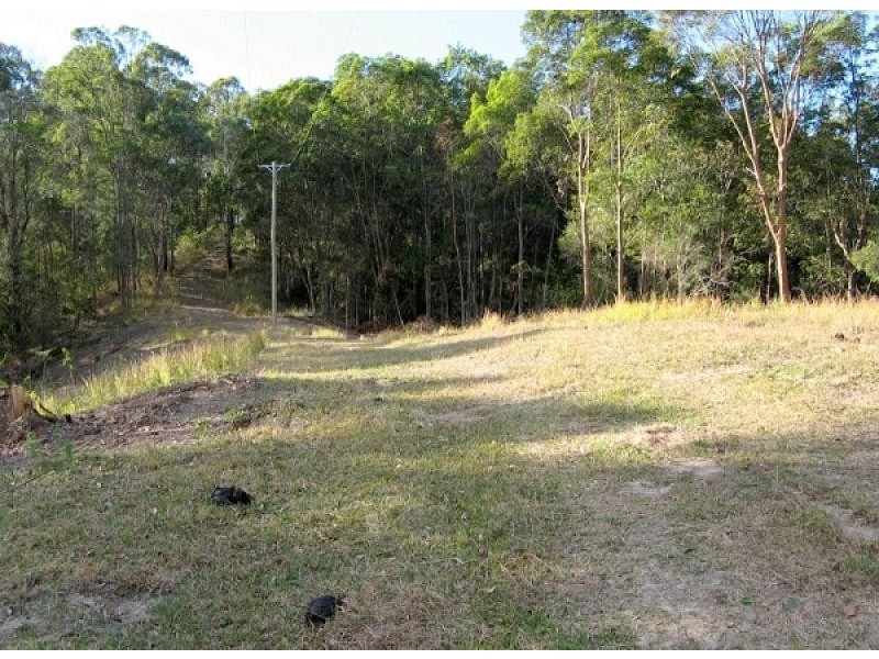 Dunbible NSW 2484