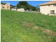 Murwillumbah NSW 2484