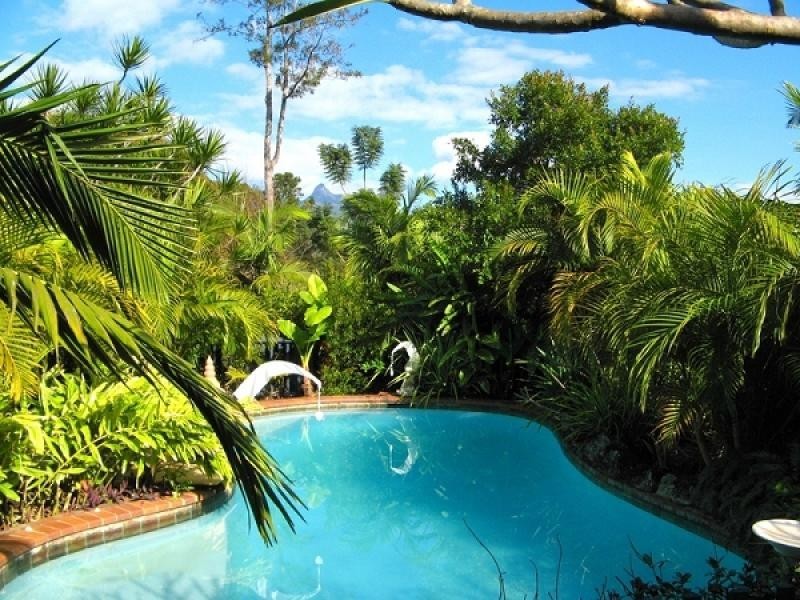 126 Tyalgum Road, Murwillumbah NSW 2484