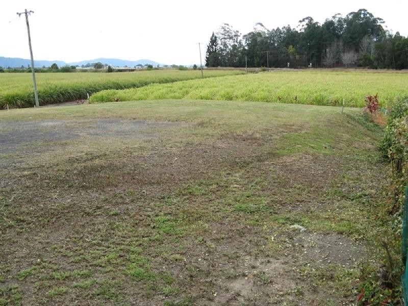 Murwillumbah NSW 2484