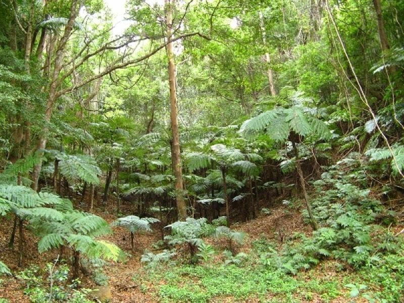 Stokers Siding NSW 2484
