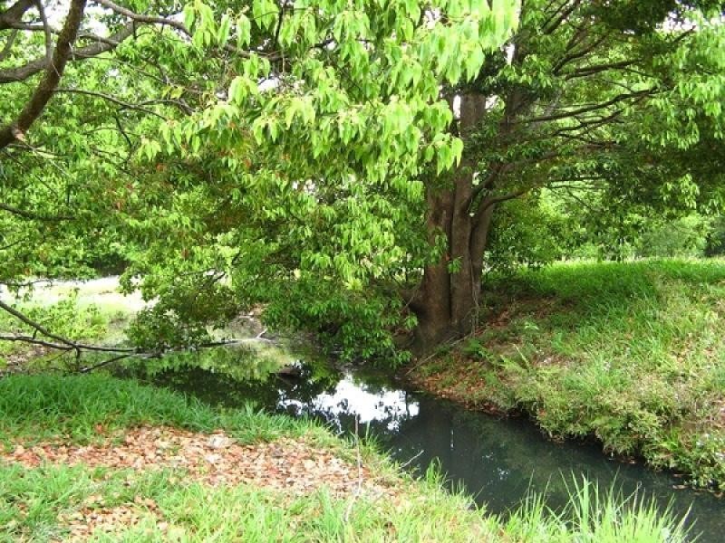 Stokers Siding NSW 2484