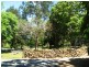 1154 Numinbah Road, Chillingham NSW 2484