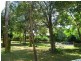 1154 Numinbah Road, Chillingham NSW 2484