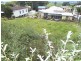 Murwillumbah NSW 2484