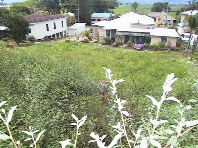 Murwillumbah NSW 2484
