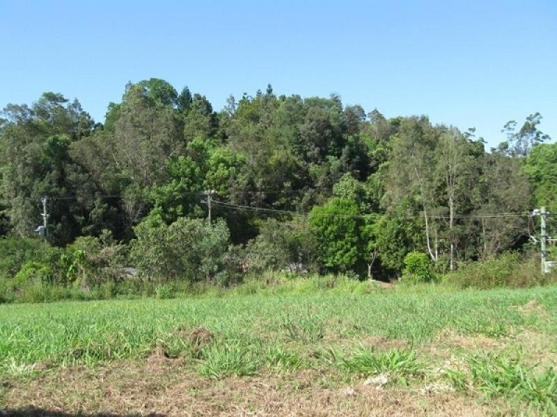Murwillumbah NSW 2484