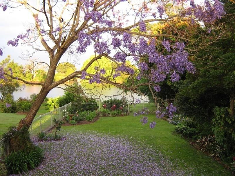 61 McLeod Street, Condong NSW 2484