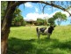 Murwillumbah NSW 2484