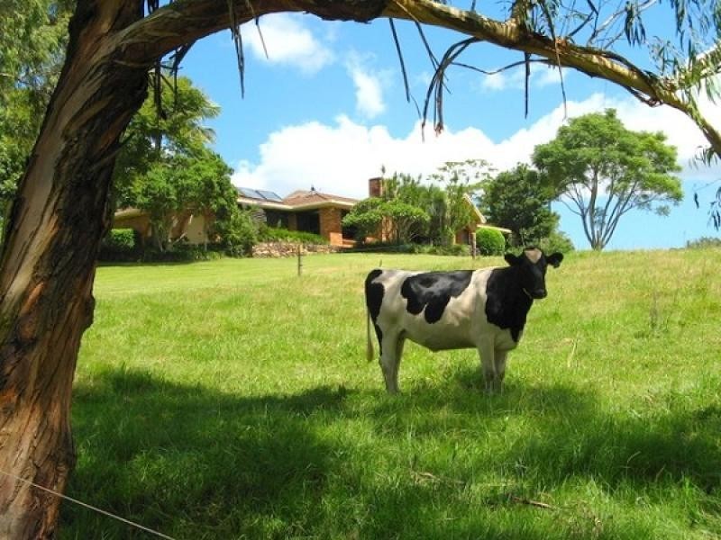 Murwillumbah NSW 2484