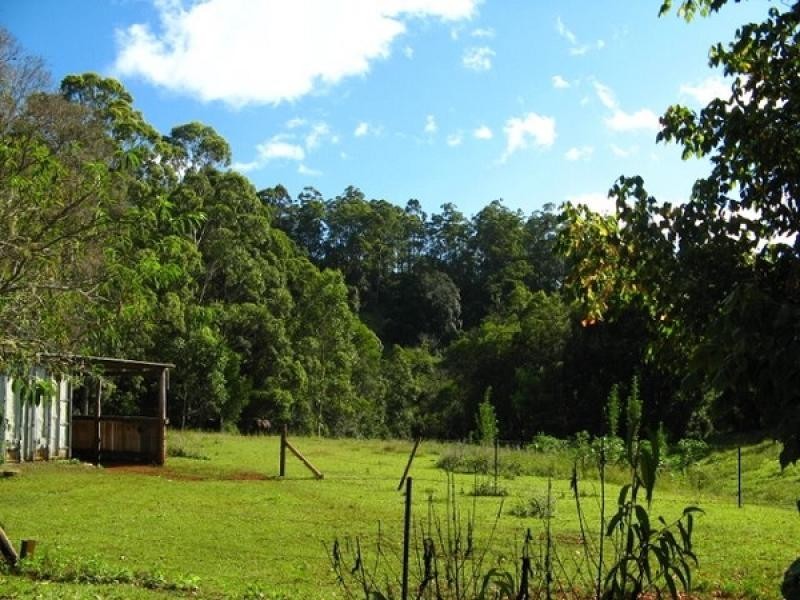 3640 Kyogle Road, Mount Burrell NSW 2484