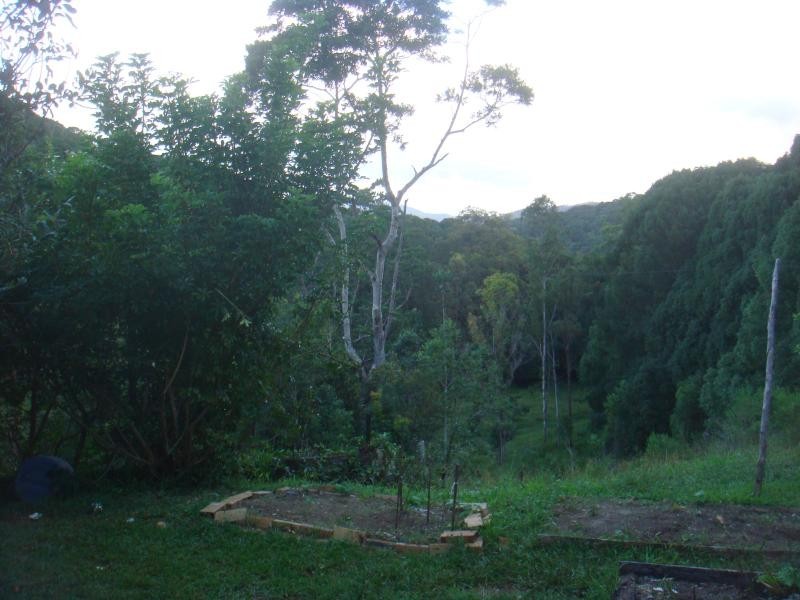 33 Meadow Place, Uki NSW 2484