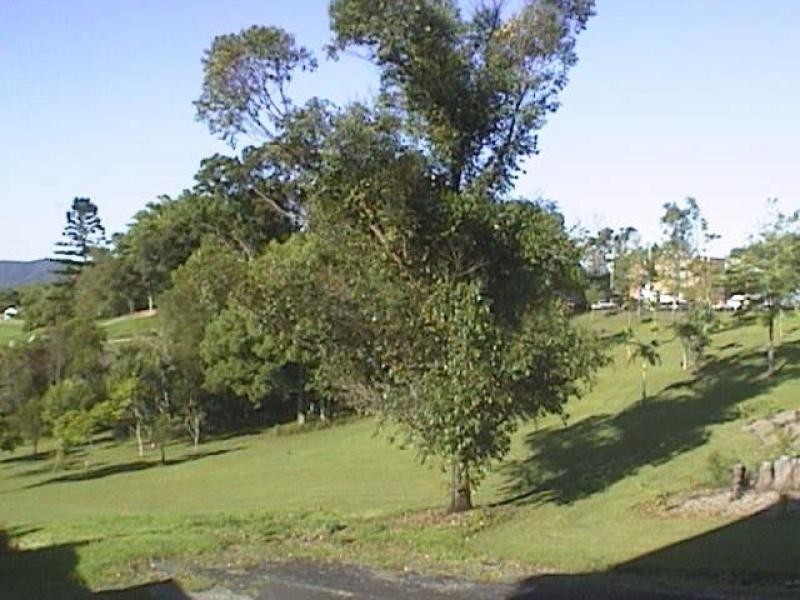 Unit B/155 Murwilllumbah Street, Murwillumbah NSW 2484