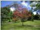 13 Waterlily Close, Nunderi NSW 2484