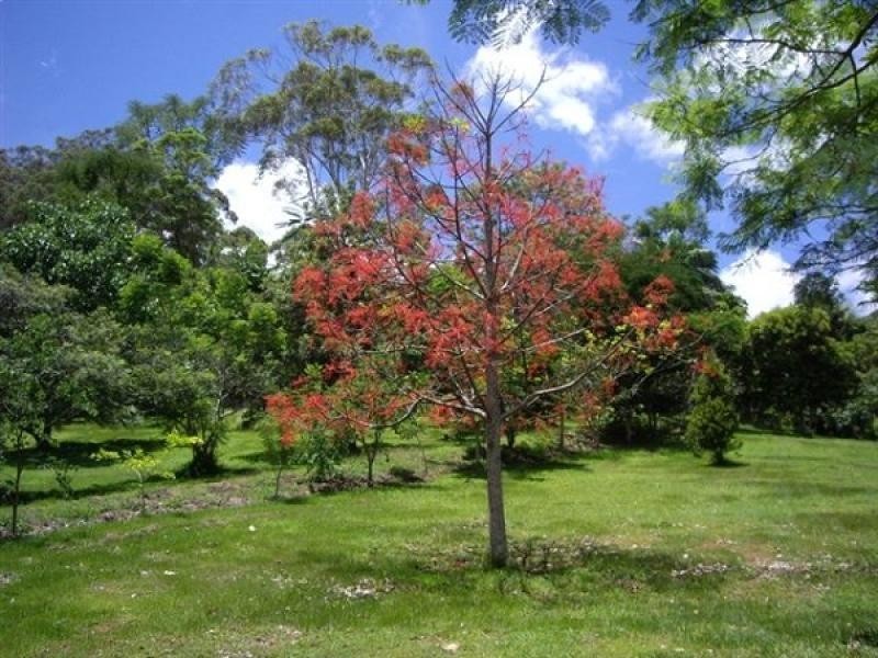 13 Waterlily Close, Nunderi NSW 2484