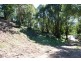Fernvale NSW 2484