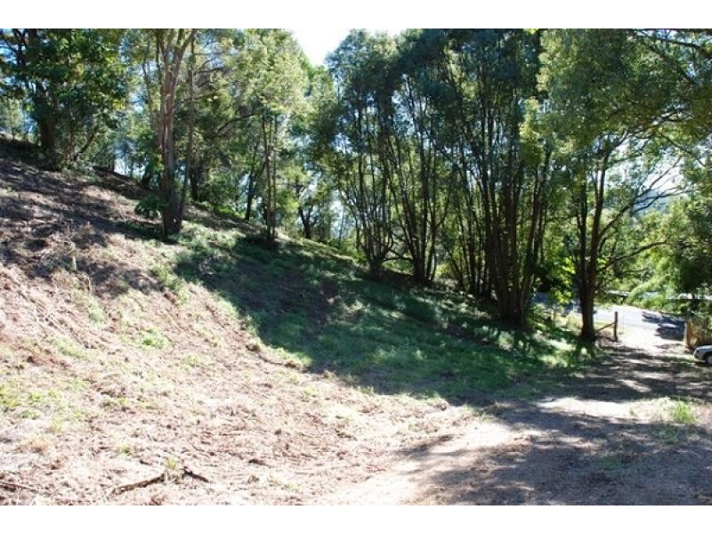 Fernvale NSW 2484
