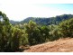 Fernvale NSW 2484