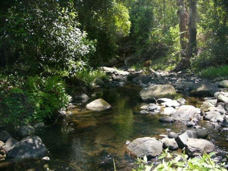 Commissioners Creek NSW 2484