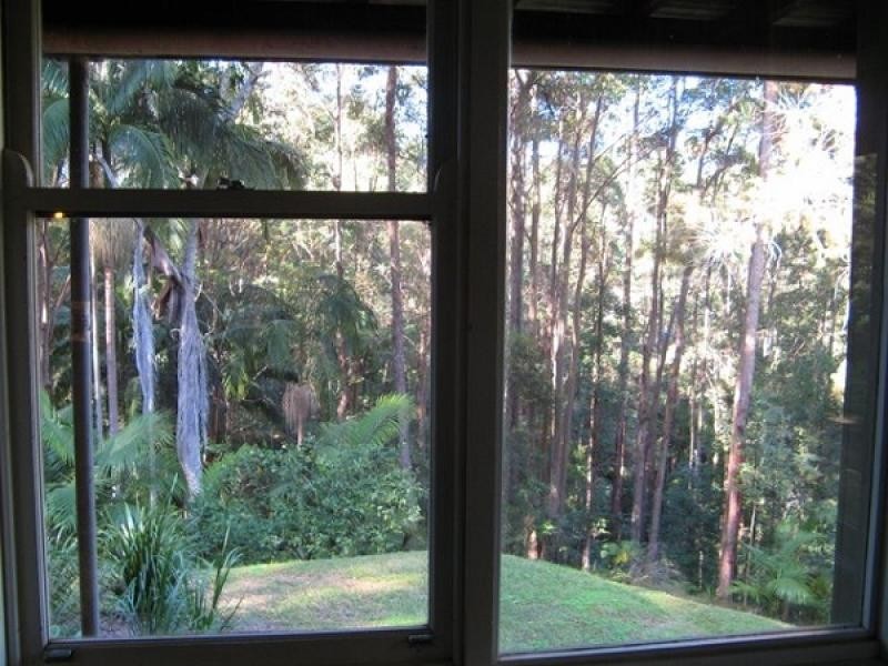 Urliup NSW 2484