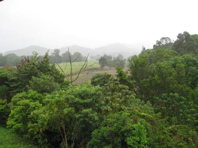 53 Mt Ernest Crescent, Murwillumbah NSW 2484