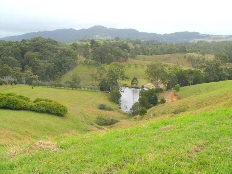 Murwillumbah NSW 2484