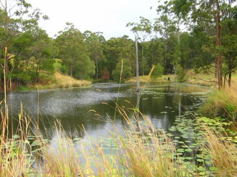 Murwillumbah NSW 2484