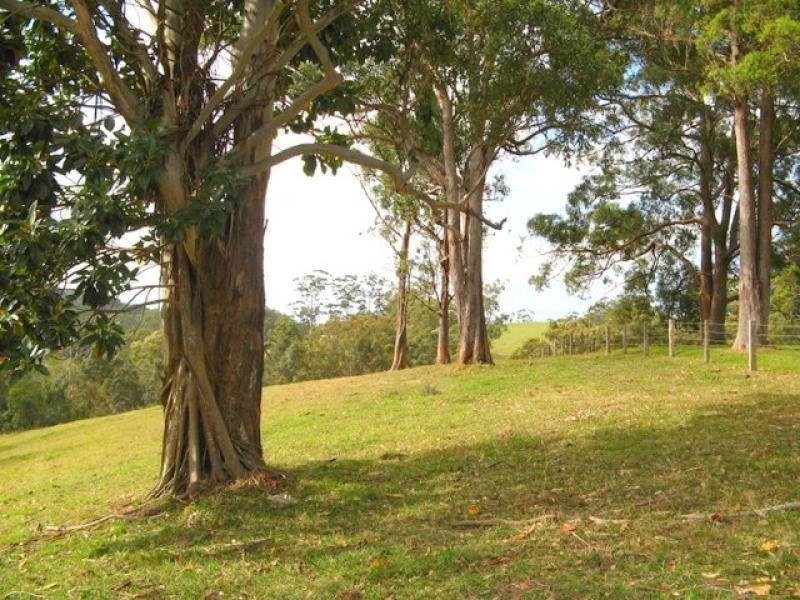 Murwillumbah NSW 2484