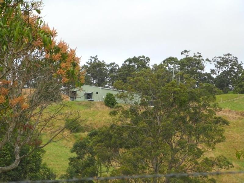 Murwillumbah NSW 2484