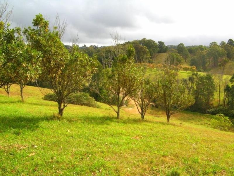 Murwillumbah NSW 2484