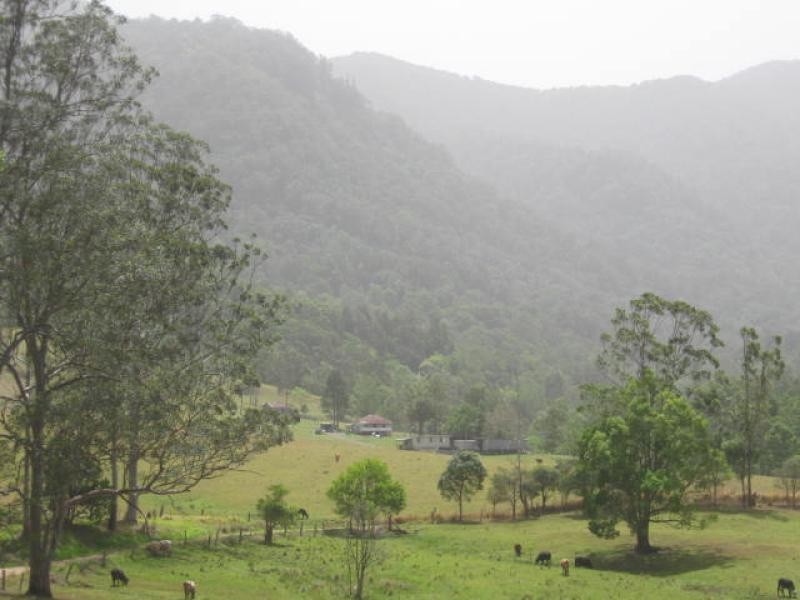 315 Butlers Road, Tyalgum NSW 2484