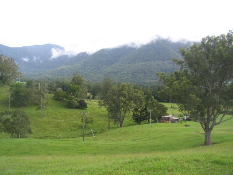 365 Tyalgum Creek Road, Tyalgum NSW 2484